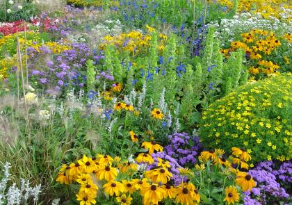 Illustratieve weergave van een tuin met een diversiteit aan bloemen