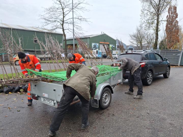 bomen en struiken ophaaldag 2024