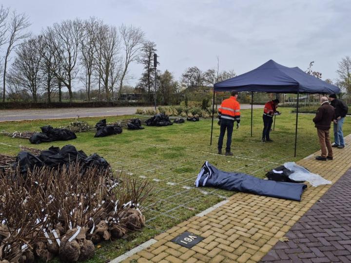 bomen en struiken ophaaldag 2024