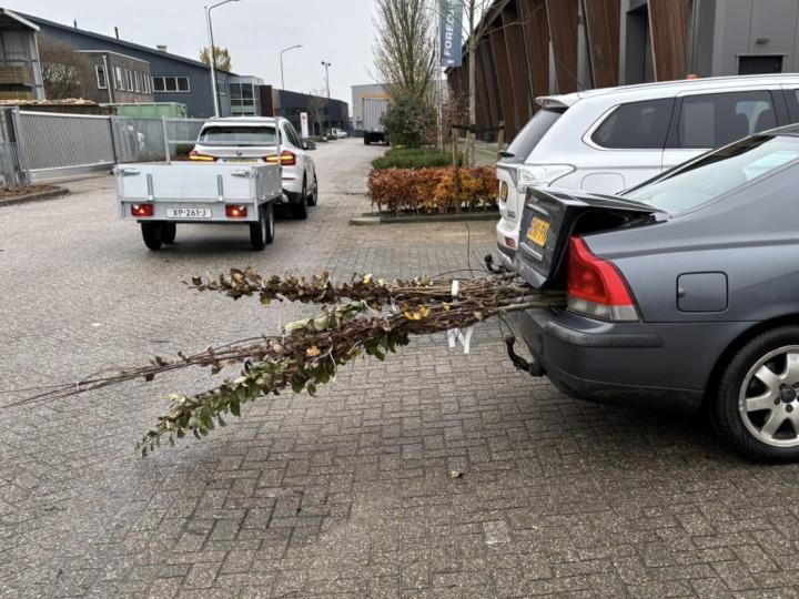 bomen en struiken ophaaldag 2024